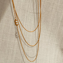 Load image into Gallery viewer, Dainty Herringbone Chain Necklace